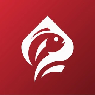 Check-Check Саратов