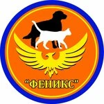 Феникс