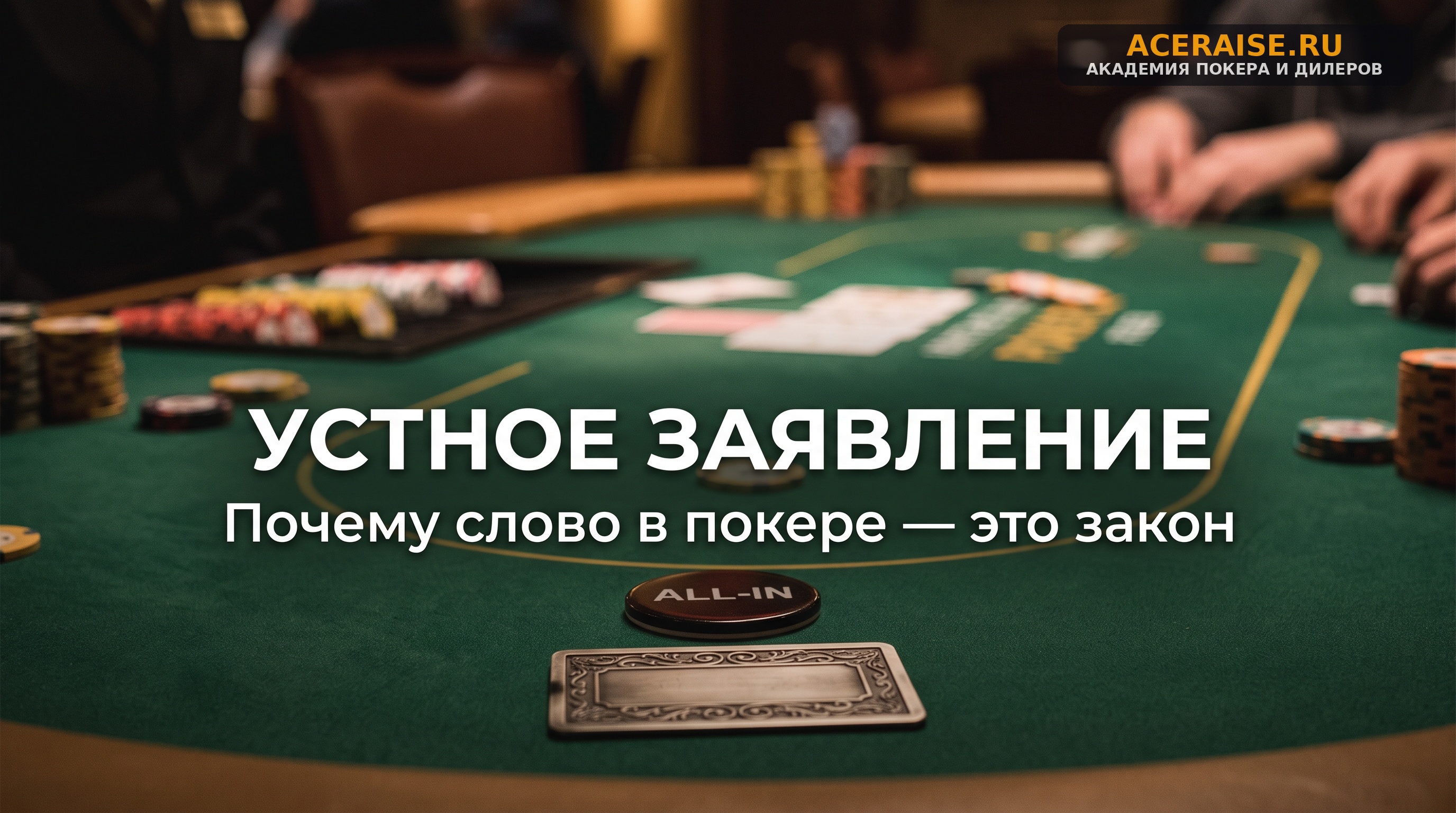 Как не получить штраф на первом турнире: 5 главных правил TDA для начинающих игроков